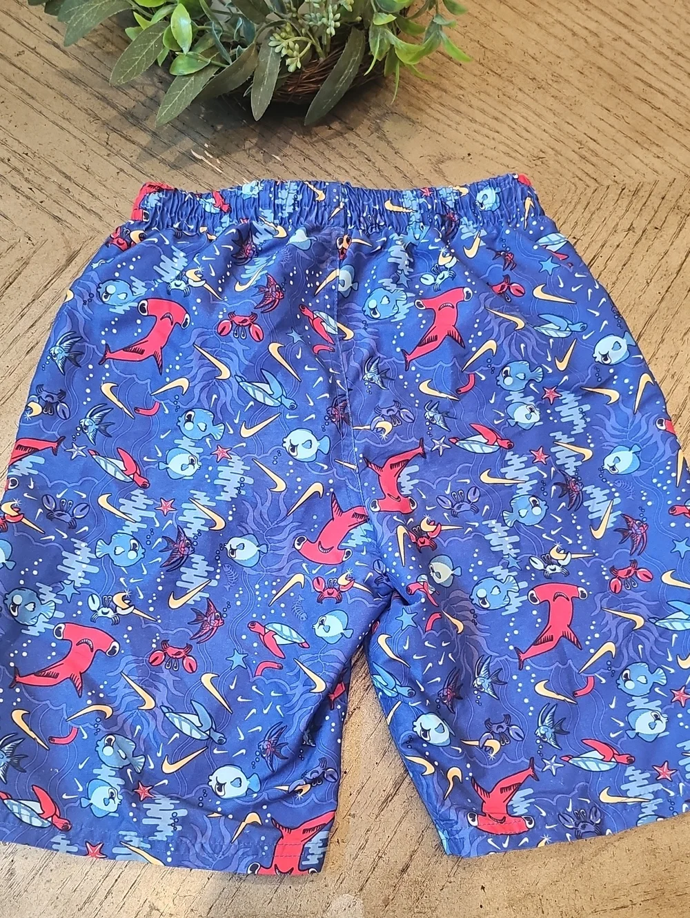 Nike Swim Trunks Size M
